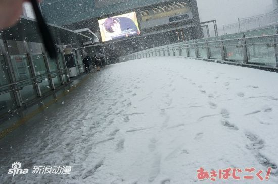 日本关东遭遇大雪天气 直击雪中圣地秋叶原