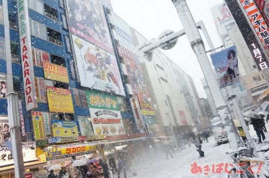 日本关东遭遇大雪天气 直击雪中圣地秋叶原(3